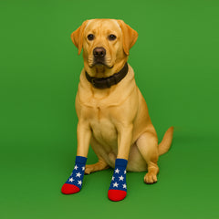 Matching Pet and Owner Socks – 1-Pair or 3-Pairs – Fun Prints, Cozy Fit for You and Your Pup – Small Dog Friendly, Machine Washable