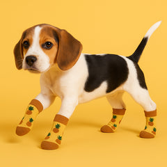Matching Pet and Owner Socks – 1-Pair or 3-Pairs – Fun Prints, Cozy Fit for You and Your Pup – Small Dog Friendly, Machine Washable