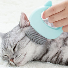 2-Pack or 4-Pack: Pet Grooming Brush & Hair Remover Comb – Shell Design Massaging Brush for Dogs & Cats – Deshedding Tool for Loose Fur, Knots & Coat Care