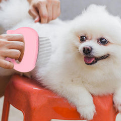 2-Pack or 4-Pack: Pet Grooming Brush & Hair Remover Comb – Shell Design Massaging Brush for Dogs & Cats – Deshedding Tool for Loose Fur, Knots & Coat Care