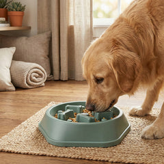 Slow Feeder Dog Bowl Puzzle Design – Anti-Choking Pet Food Bowl for Small & Medium Dogs – Non-Slip Slow Eating Dish for Healthy Digestion (Blue/Green)(1-Pack or 2-Pack)