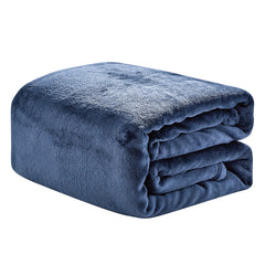 Fleece Throw Blanket 50 x 60 Inches – Ash Grey Luxury Microfiber Blanket, Anti-Static Soft & Fuzzy All-Season Throw for Couch, Sofa & Bed