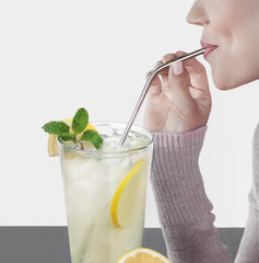 Collapsible, Portable, And Reusable Stainless Steel Drinking Straw With Case (2-Pack)