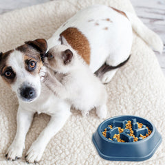 Slow Feeder Dog Bowl Puzzle Design – Anti-Choking Pet Food Bowl for Small & Medium Dogs – Non-Slip Slow Eating Dish for Healthy Digestion (Blue/Green)(1-Pack or 2-Pack)