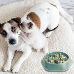 Slow Feeder Dog Bowl Puzzle Design – Anti-Choking Pet Food Bowl for Small & Medium Dogs – Non-Slip Slow Eating Dish for Healthy Digestion (Blue/Green)(1-Pack or 2-Pack)