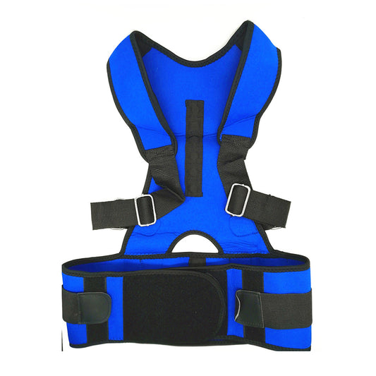 Adjustable Padded Compression Back Support